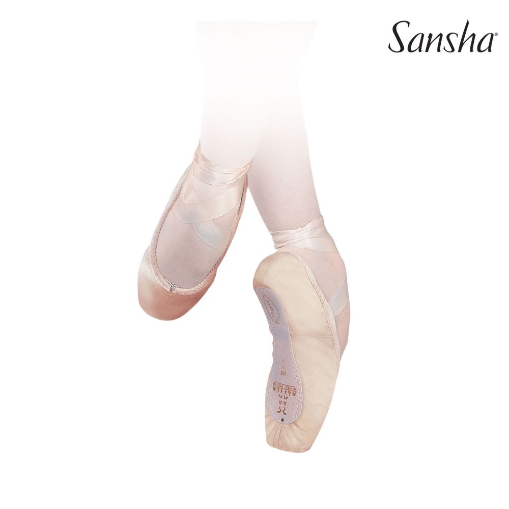 Pointe Shoes with Replaceable Shank 